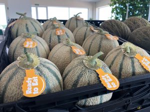 ready to eat rijk zwaan