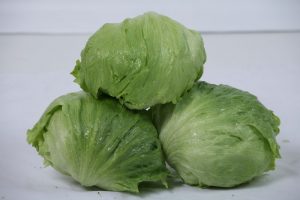 lechuga iceberg