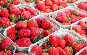 fresas