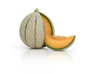 variedad jacobo melón semillas fitó