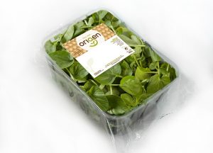 Línea Origen Berros linea verde