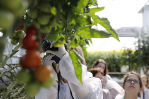 foto kasbezoek blogger event Love my Salad