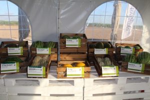 syngenta demo days 2017