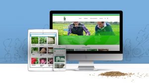 Bejo Nueva Web