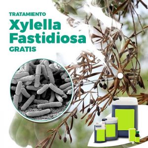 Tratamiento Xylella