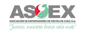 logo asoex