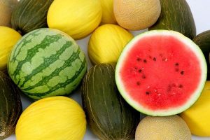 melon-sandia