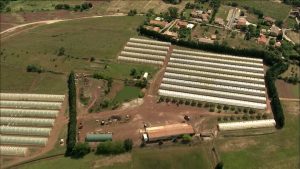 invernadero-campo-agricultura-francia-sol