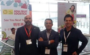 AsiaFruit freson de palos