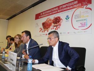 CONGRESO GRANADAS elche