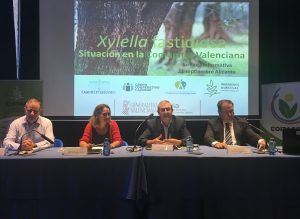 JORNADA_XYLELLA_INAUGURACION_01