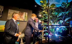 koppert 50 aniversario con rey holanda