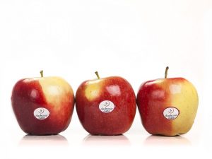 manzana ambrosia