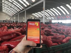 App-movil-la-union