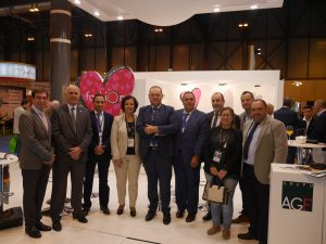SANDÍA FASHION FRUIT ATTRACTION 2017