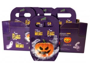 calabazas_halloween_estuche_2017 kernel