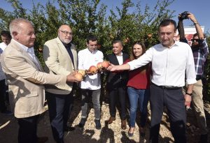 corte granada mollar elche 2017 chef ricard camarena
