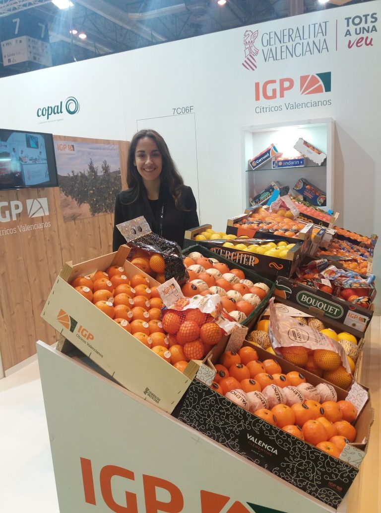 igp citricos valencianos fa17