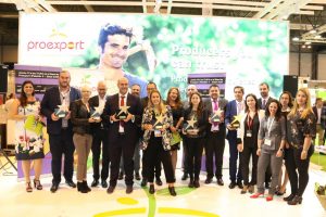 premios estrellas internet 2017