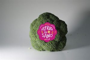 Asociacion-+-brocoli-CUTE-FRESH