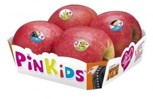 Barquette - Pinkids pink lady