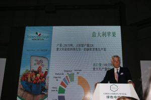 Freshness China Bruni