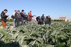 blogtrip de la Alcachofa de la Vega Baja