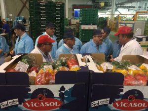 Vicasol visita consejero