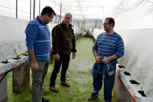 Invernadero de Andrés en la Cañada de Onáyar