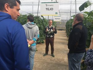 semillas fito jornada smart q