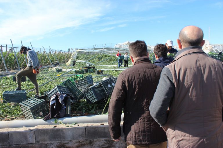 180107_Daños tornado (3) ejido