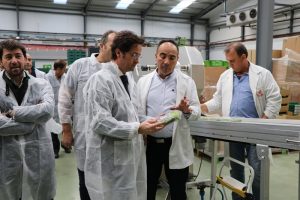 Cohorsan socia unica group