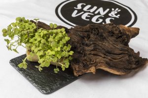 Microgreens_Sun&Vegs