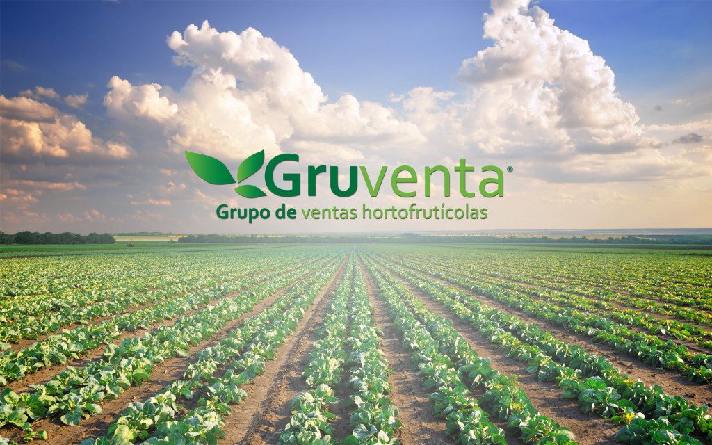 Portada GRUVENTA
