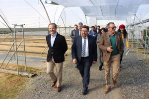 consejero andaluz visita anove encuentro planasa frutos rojos