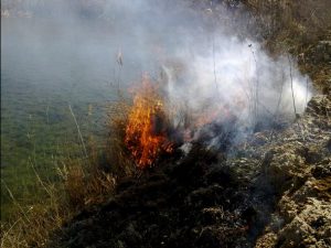 quema-restos agricolas