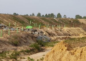 superficie coophuelva