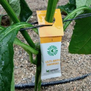 ulti mite swirski de koppert