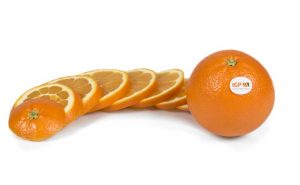 IGP citricos valencianos