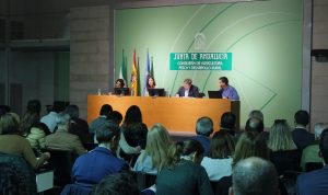 180201_Convocatoria PAC 2018_2