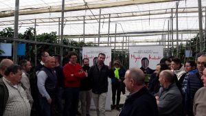syngenta jornada pimiento