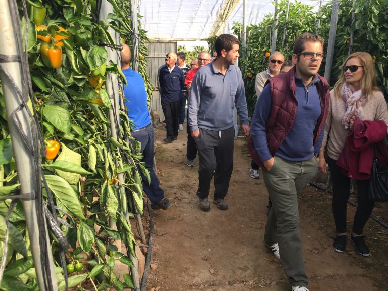 jornadas pimiento syngenta