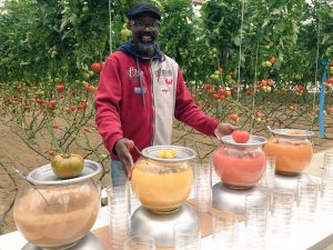 jornadas tomate rijk zwaan serge aimee restaurante sak
