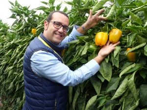 ray garcía técnico clause con pimiento california amarilo Deseo F1