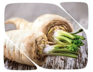 biofach 2018 chirivía