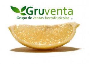 Foto-limones-GRUVENTA