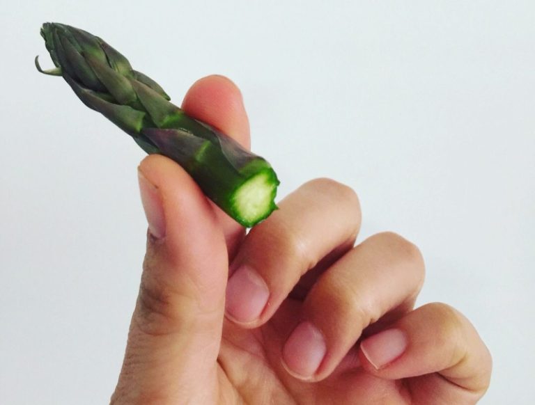 magnus f1 espárrago bejo