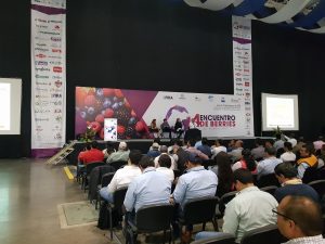 IV Encuentro Berries de Guanajuato III (México)