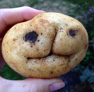 PATATA FEA UGLY FOOD
