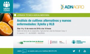 jornada cajamar invitacion-140318-alcacer-1519813285